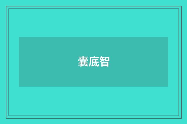 囊底智