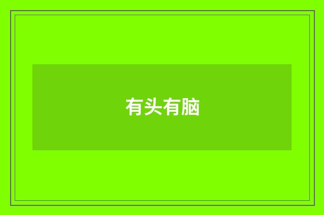 有头有脑