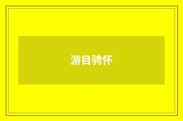 游目骋怀