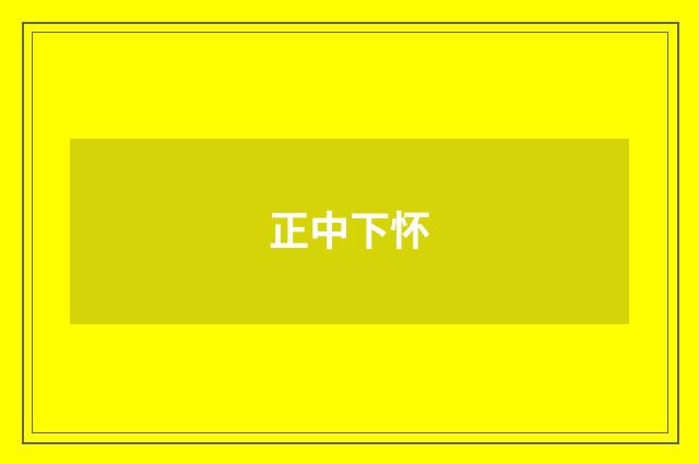 正中下怀