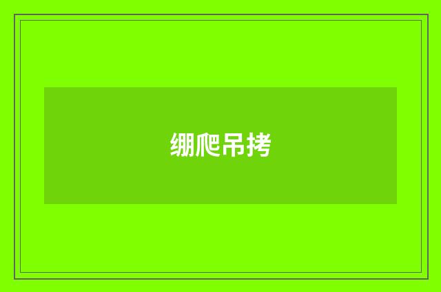 绷爬吊拷