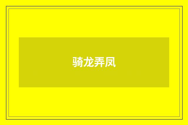 骑龙弄凤