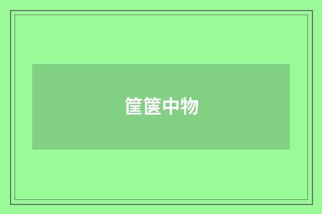 筐箧中物