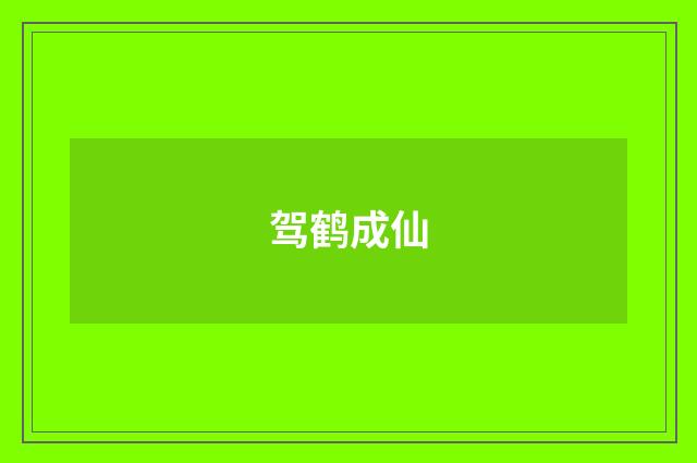 驾鹤成仙