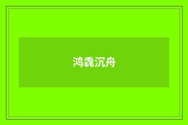 鸿毳沉舟