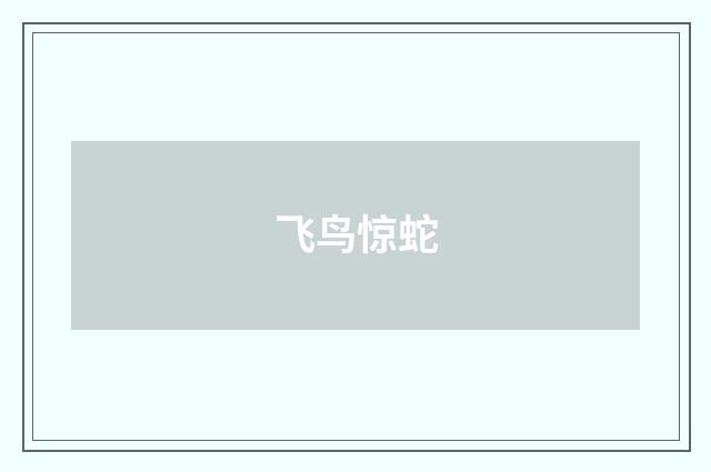 飞鸟惊蛇