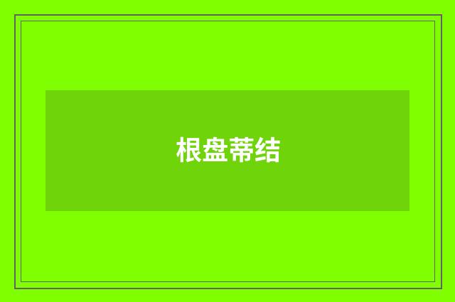 根盘蒂结
