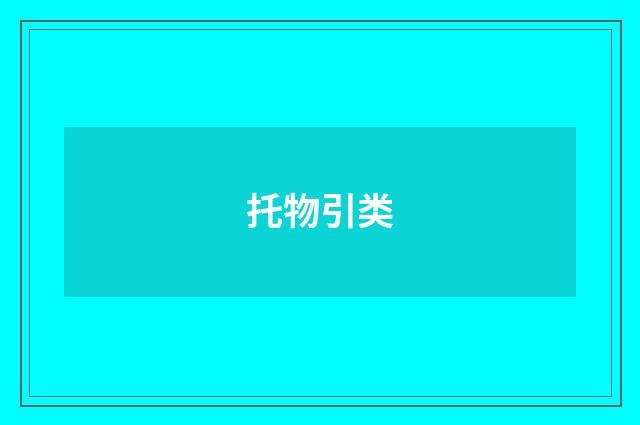 托物引类