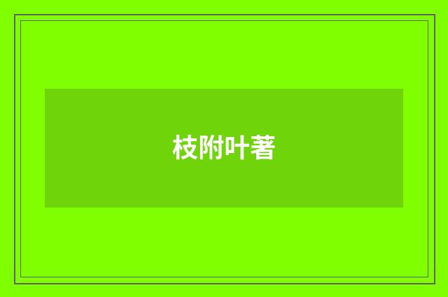 枝附叶著