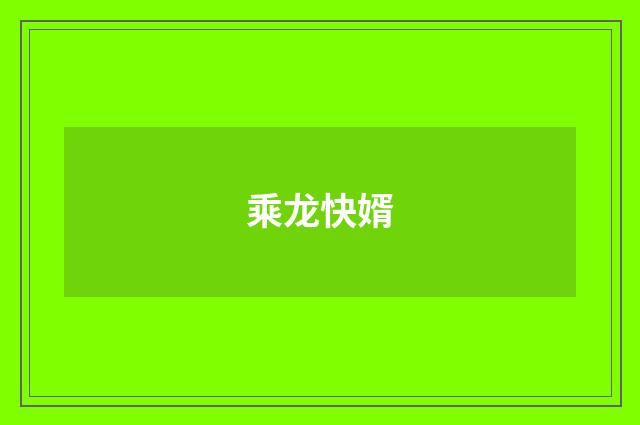 乘龙快婿