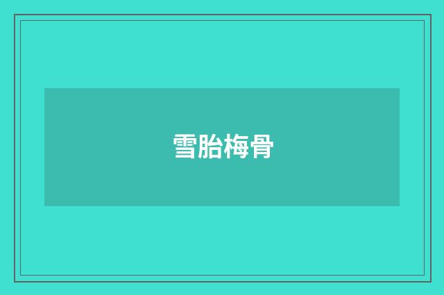 雪胎梅骨