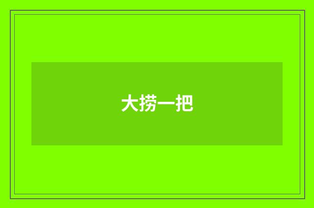 大捞一把