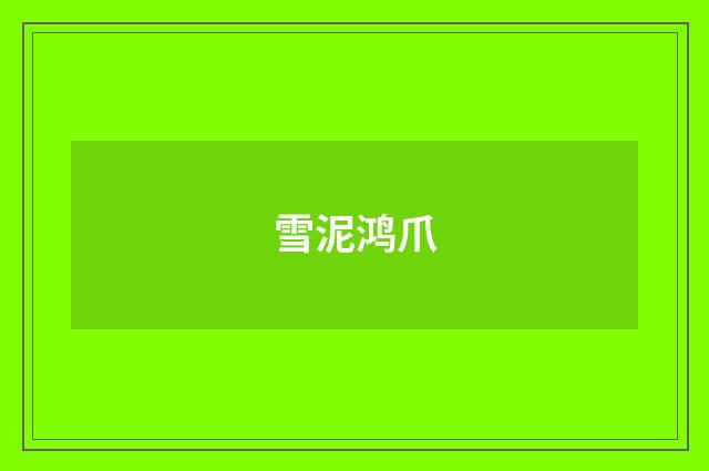 雪泥鸿爪