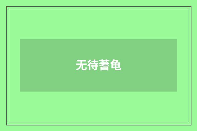 无待蓍龟