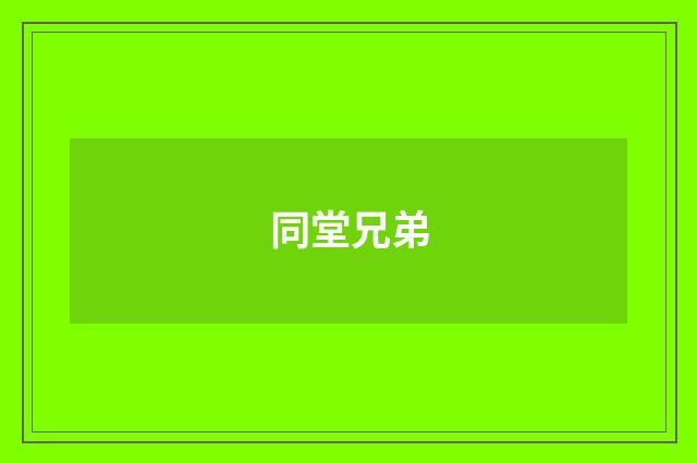 同堂兄弟