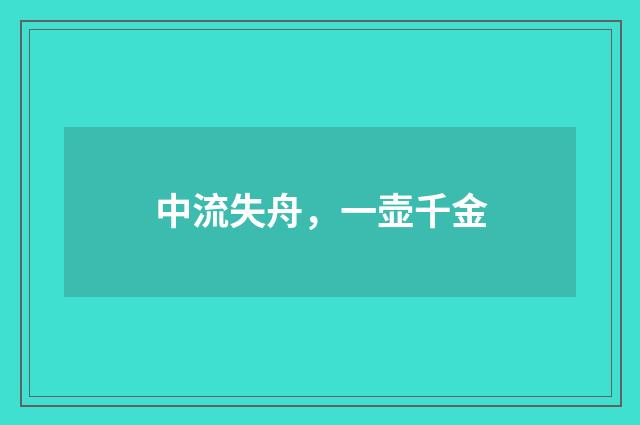 中流失舟，一壶千金