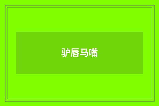驴唇马嘴