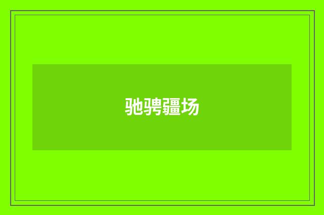 驰骋疆场