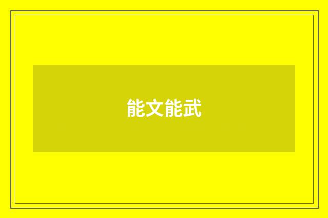 能文能武