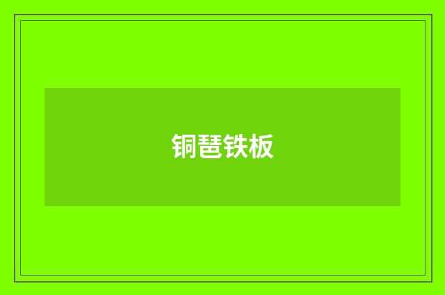 铜琶铁板