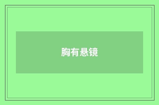 胸有悬镜