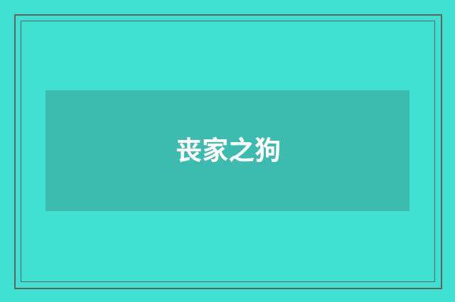 丧家之狗
