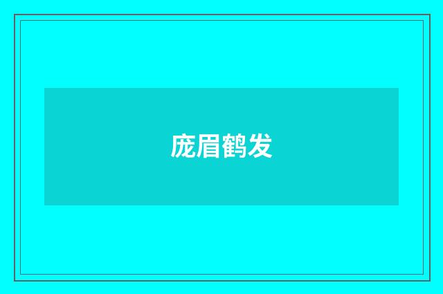 庞眉鹤发
