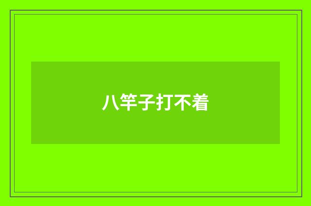 八竿子打不着