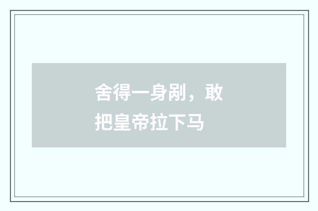 舍得一身剐，敢把皇帝拉下马