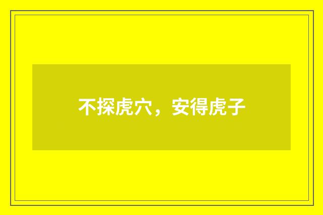 不探虎穴，安得虎子