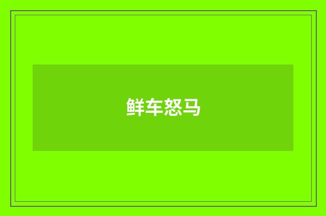鲜车怒马