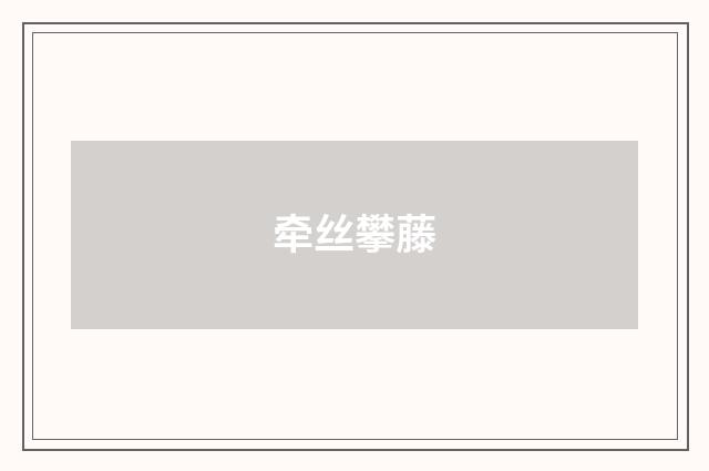 牵丝攀藤