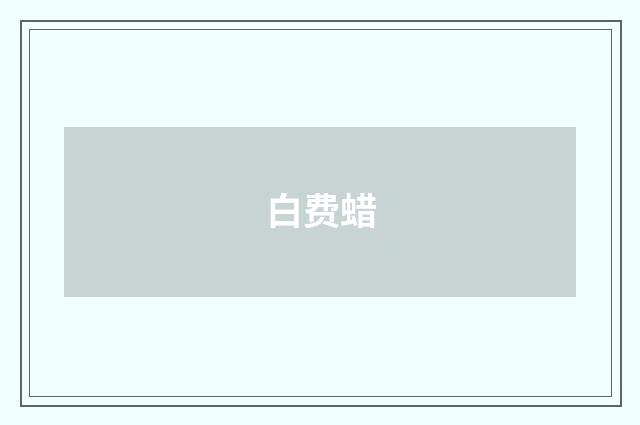 白费蜡
