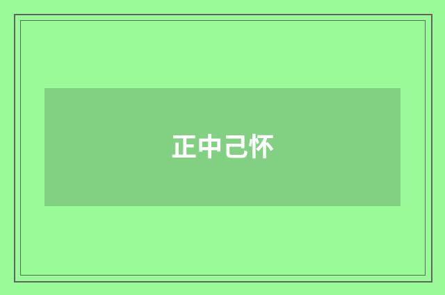 正中己怀