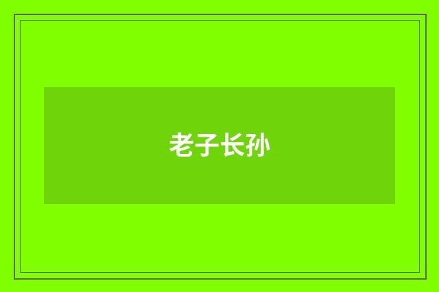 老子长孙