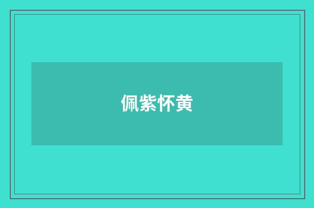 佩紫怀黄