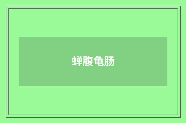 蝉腹龟肠