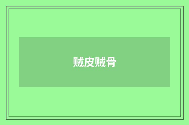 贼皮贼骨