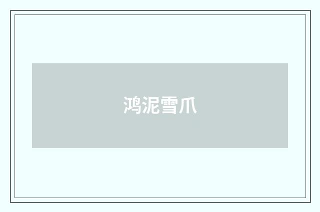 鸿泥雪爪