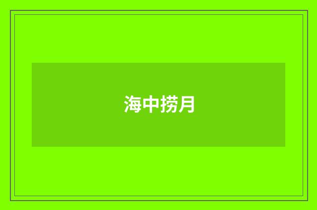 海中捞月