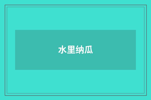水里纳瓜
