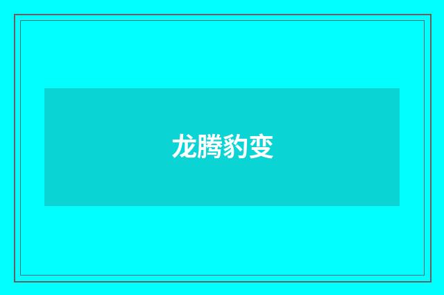 龙腾豹变