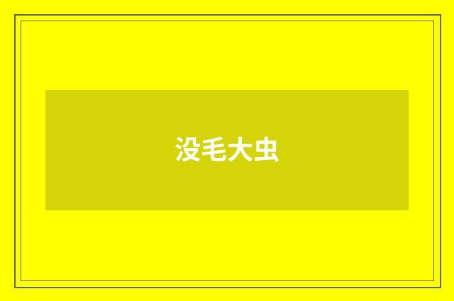 没毛大虫