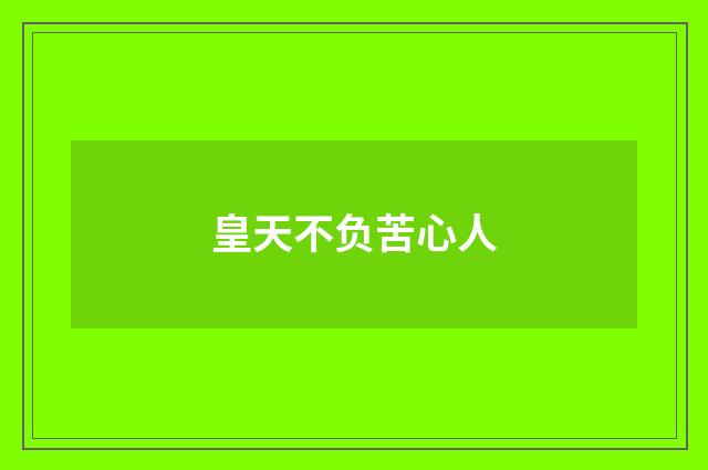 皇天不负苦心人