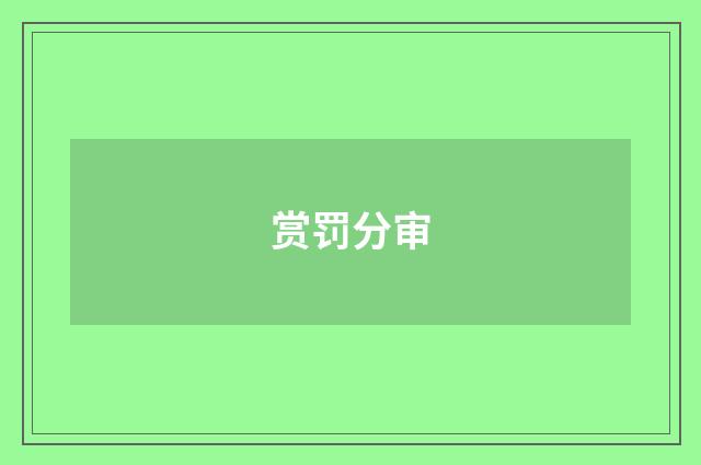 赏罚分审