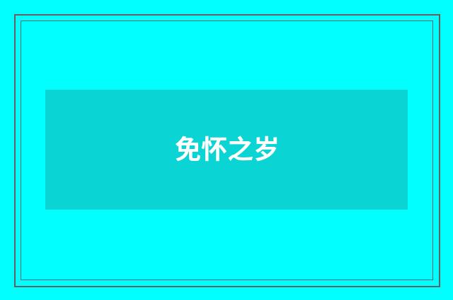 免怀之岁
