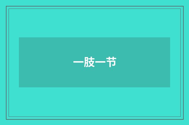 一肢一节