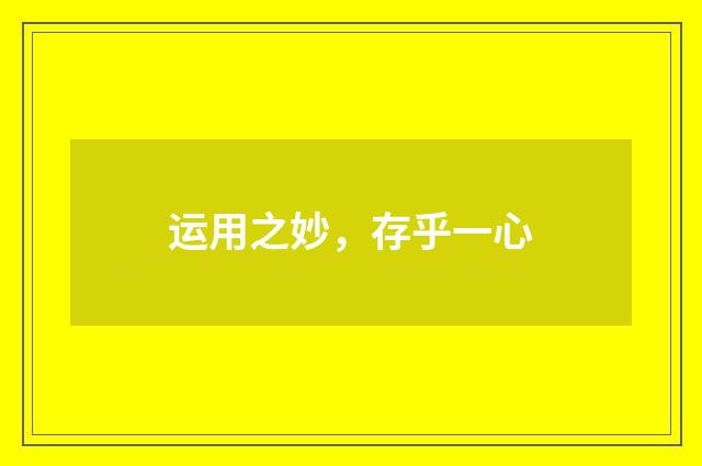 运用之妙，存乎一心