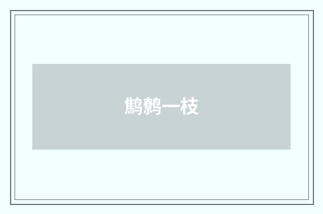 鹪鹩一枝