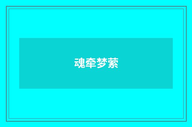 魂牵梦萦